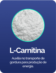 l-cartinina-1.png